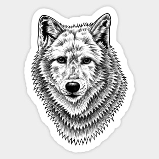 Wolf - ink illustration Sticker